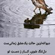 مجید