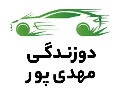 دوزندگی مهدی پور