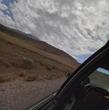 مانی