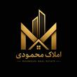 ایمان محمودی