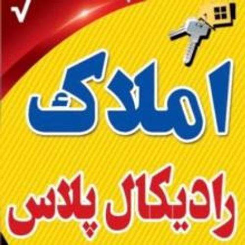 رادیکال پلاس