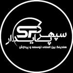 هلدینگ بین المللی توسعه پردازش سپهر پایدار