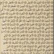 کاربر شیپور