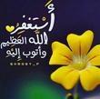 اجمل پردیس
