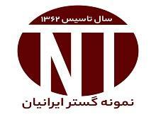 نمونه گستر ایرانیان (شعبه 2)