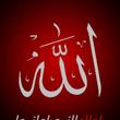 نصر
