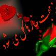 کاربر شیپور