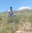 محمدمهدی محمودی