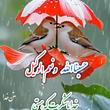 مصطفی بهمنی