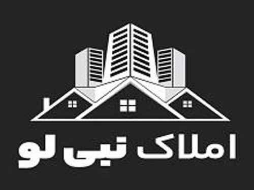 املاک نبی لو