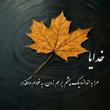 کاربر شیپور