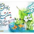 محمدپاداشی