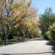احسان بیکی
