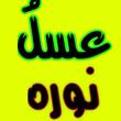رضا طالبی