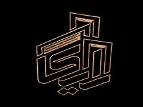 هلدینگ رایکا