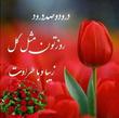 احمدی
