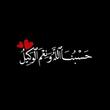 کاربر شیپور
