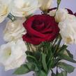 Vahid H...