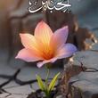 کاربر شیپور