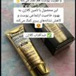 کاربر شیپور