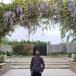 آقای شیرازی