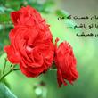 کمــــالــی