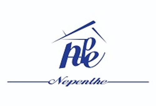 گروه دکوراسیون داخلی نپنتی