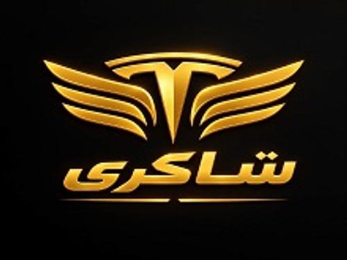 اتو تسلا