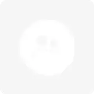 کبوتر گمشده