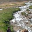 کاربر شیپور
