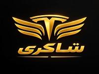 اتو تسلا