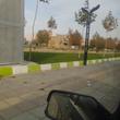 شیخ محمدی