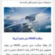 گل نازم