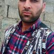 محمدرضا طالبی