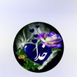 فقط خدا