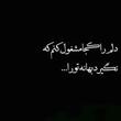 کاربر شیپور