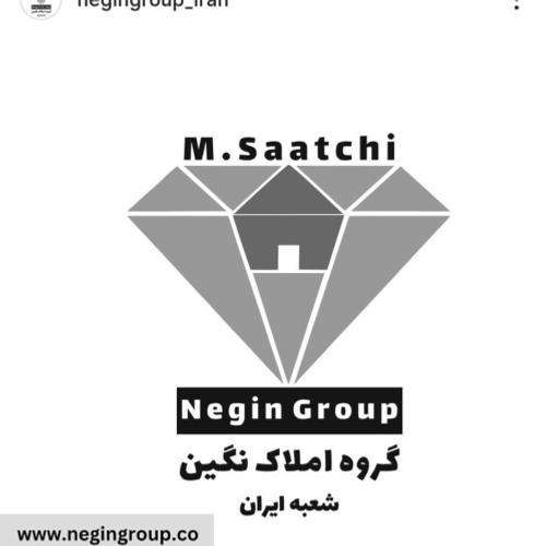 املاک نگین تهران 