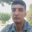 حامد
