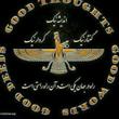 نایان صادقی