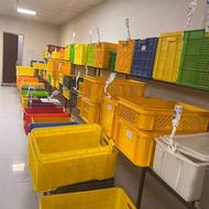 تولید و فروش بزرگترین سبد پلاستیکی