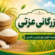 همکار خانم
